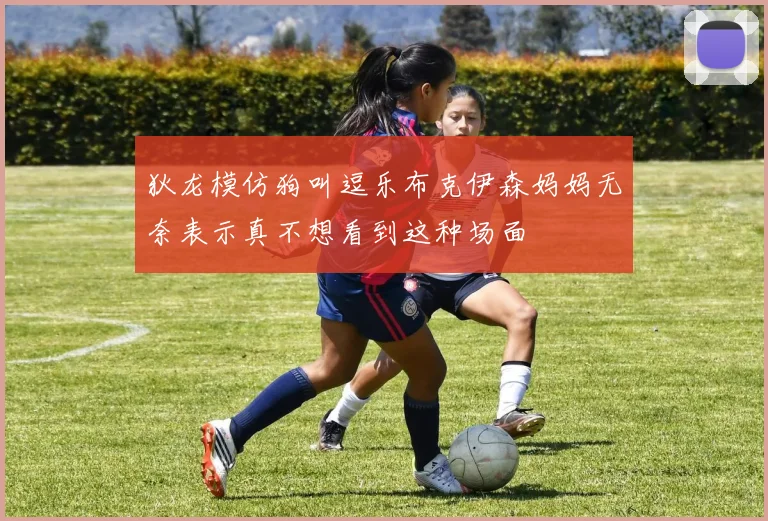 狄龙模仿狗叫逗乐布克伊森妈妈无奈表示真不想看到这种场面